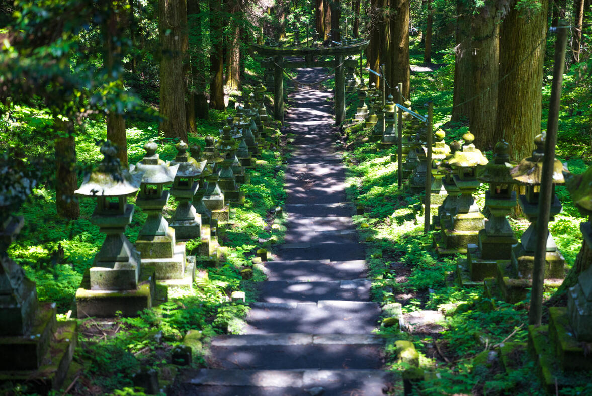 Ambiance ref : photography of Kamishikimi Kumanoimasu Shrine.